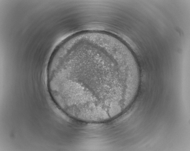 X0000115420840200911241346