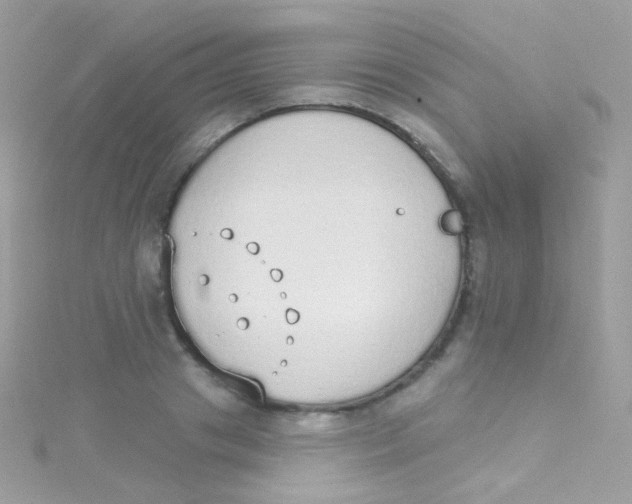 X0000115420841200911241346