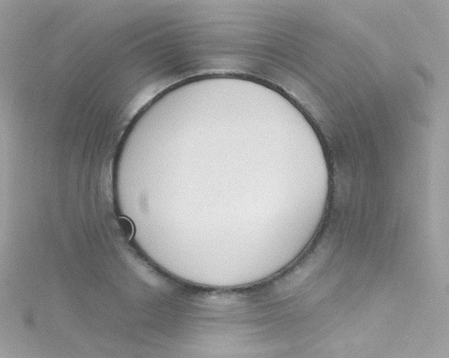 X0000115420842200911241346