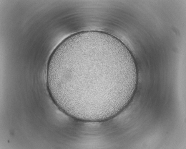 X0000115420844200911241346