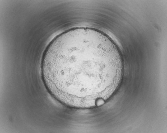 X0000115420845200911241346