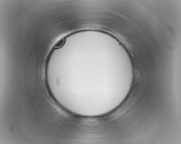 X0000115420846200911241346