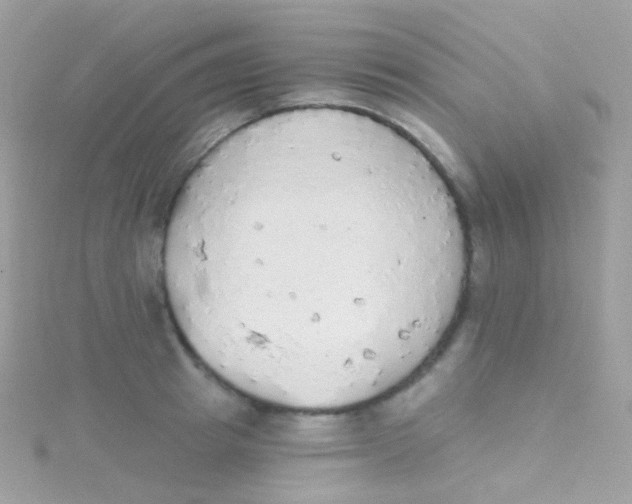 X0000115420849200911241346