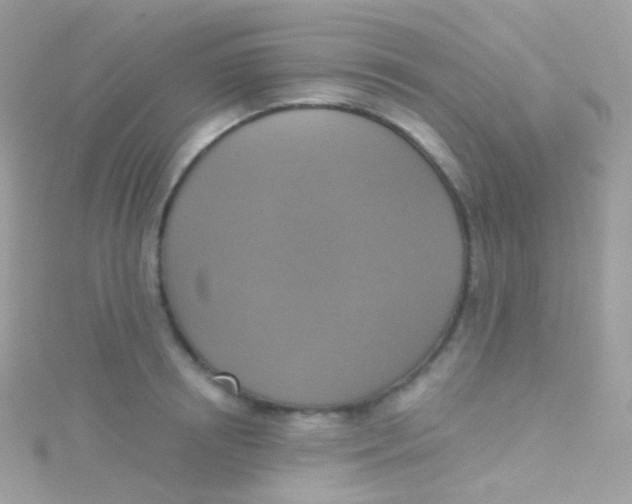 X0000115420850200911241346