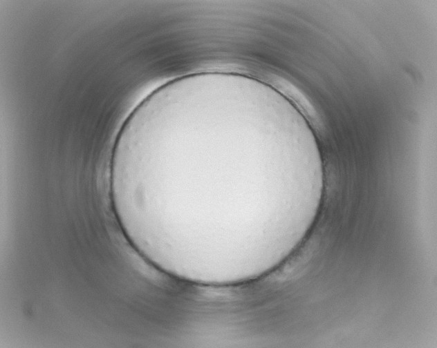 X0000115420852200911241346