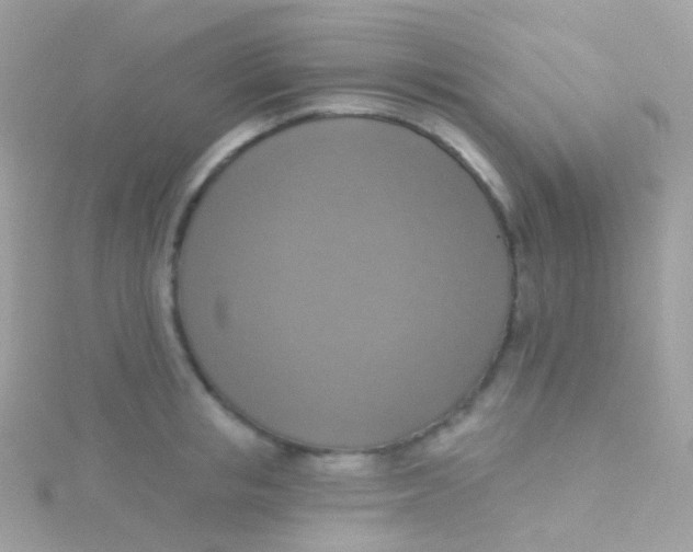 X0000115420853200911241346