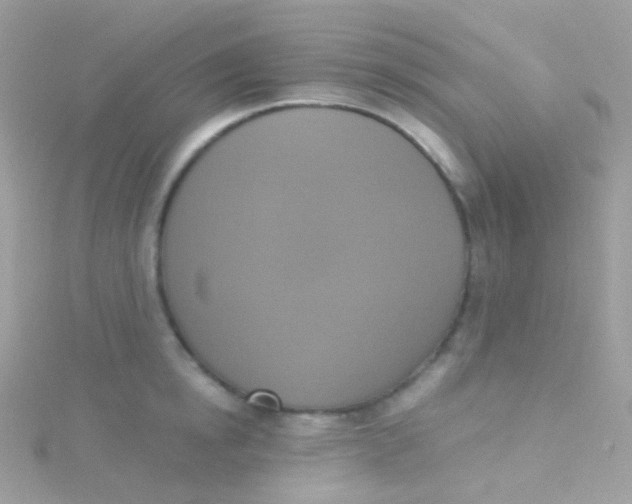 X0000115420854200911241346