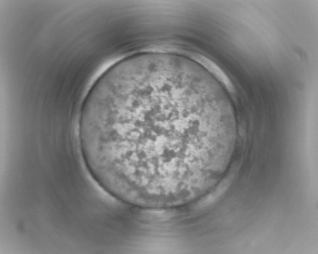 X0000115420855200911241346