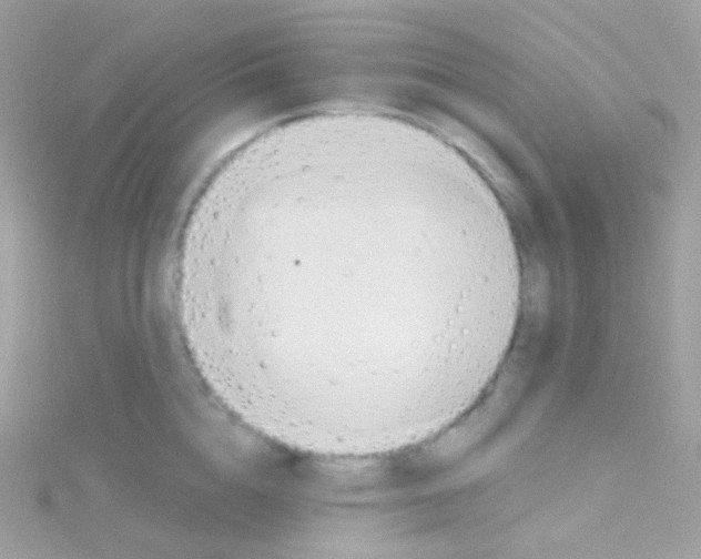 X0000115420856200911241346