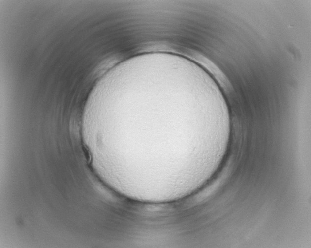 X0000115420857200911241346