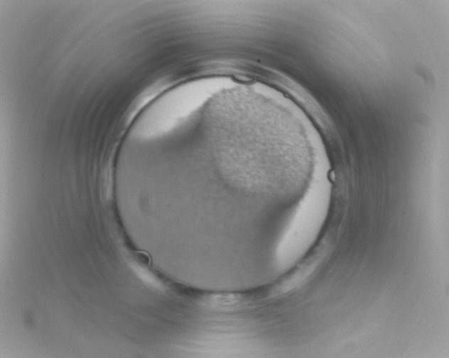 X0000115420858200911241346