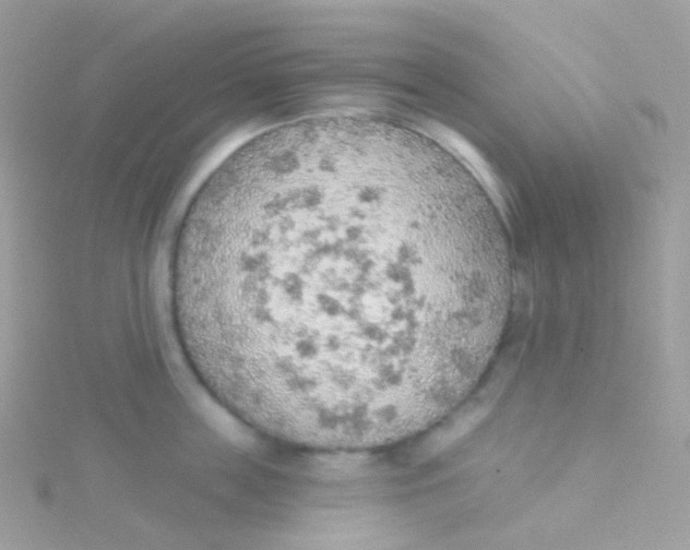 X0000115420859200911241346