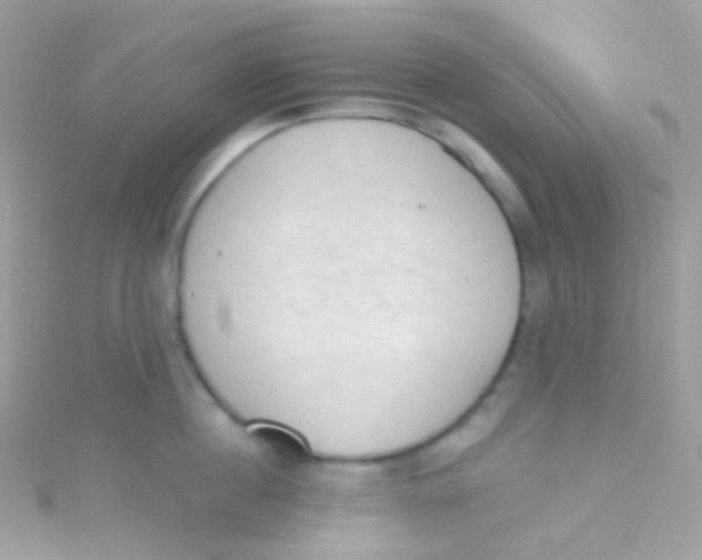 X0000115420860200911241347