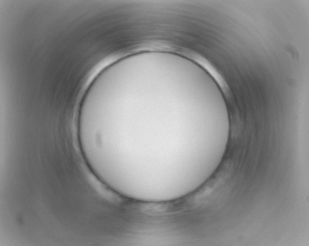 X0000115420861200911241347