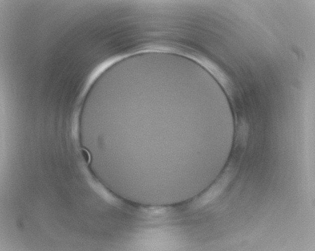 X0000115420862200911241347