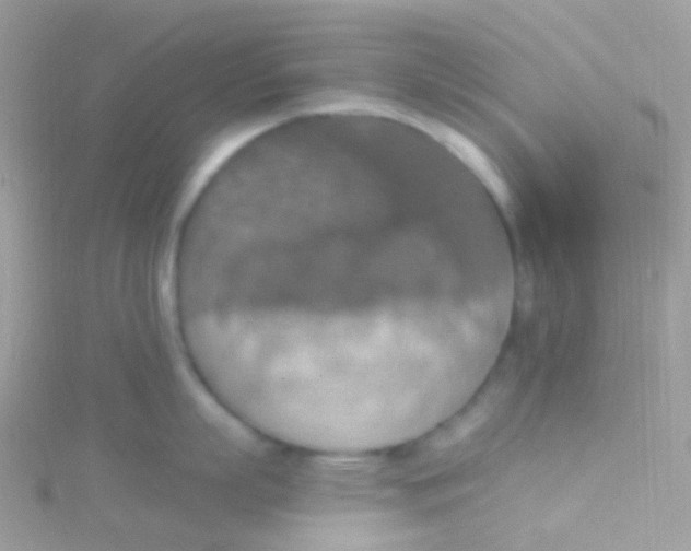 X0000115420863200911241347