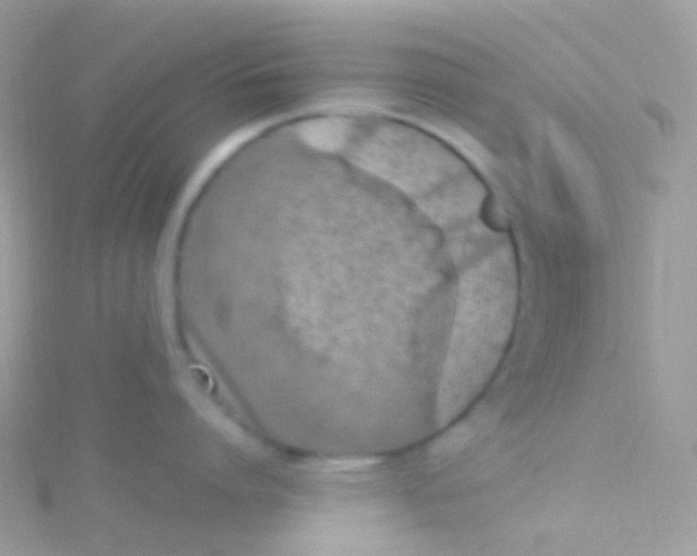 X0000115420864200911241347