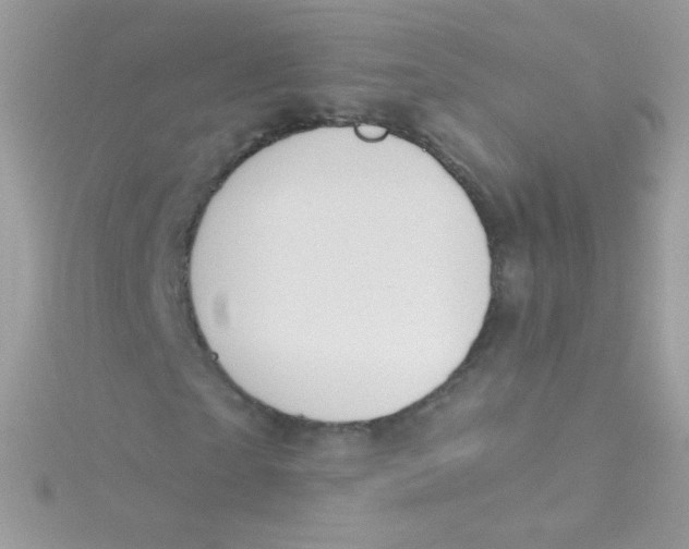 X0000115420865200911241346