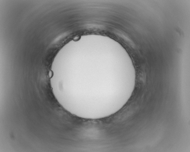 X0000115420869200911241346