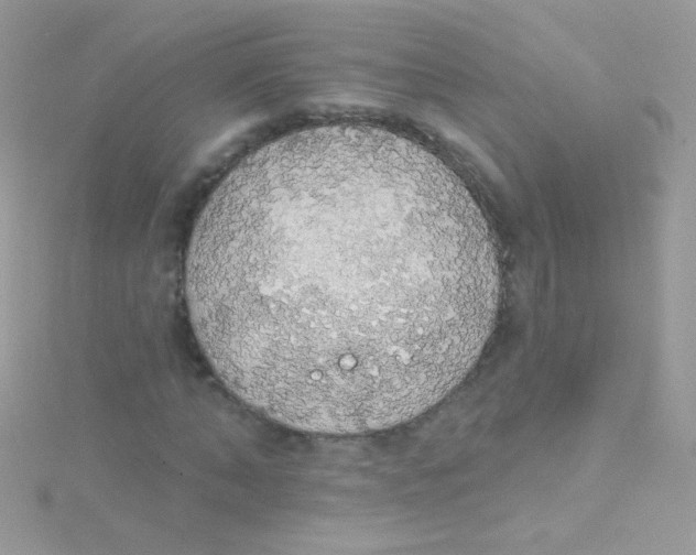 X0000115420870200911241346