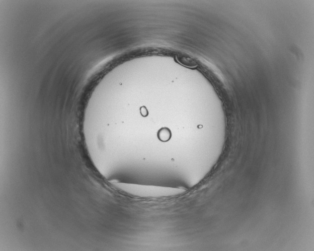 X0000115420872200911241346