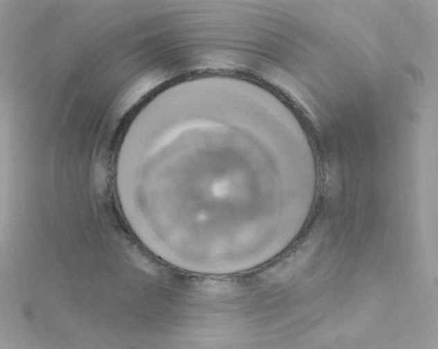 X0000115420874200911241346