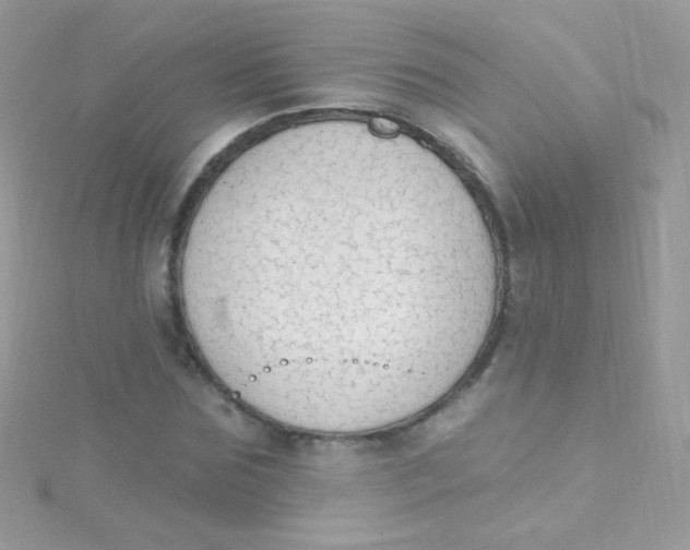 X0000115420875200911241346