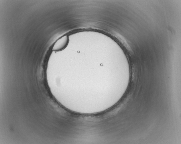 X0000115420876200911241346