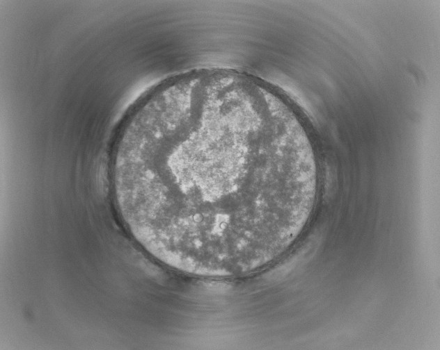 X0000115420878200911241346