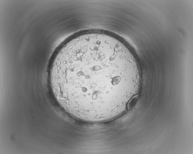 X0000115420879200911241346