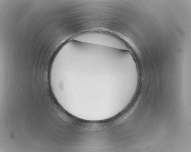 X0000115420881200911241346