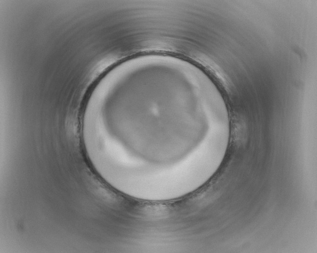 X0000115420882200911241346