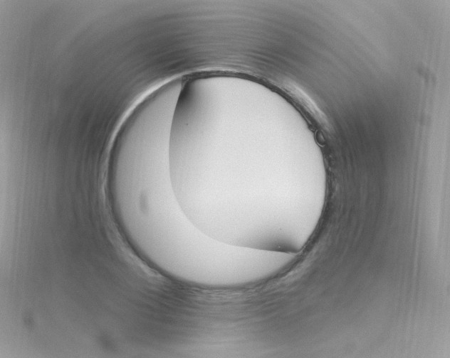 X0000115420884200911241346