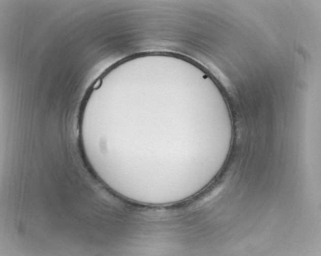 X0000115420885200911241346