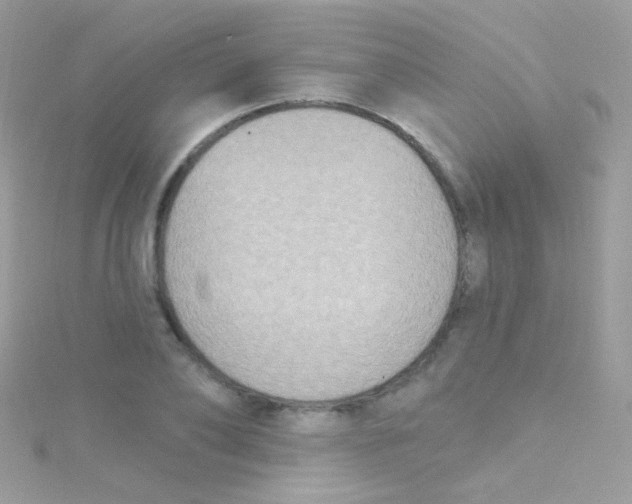 X0000115420886200911241346