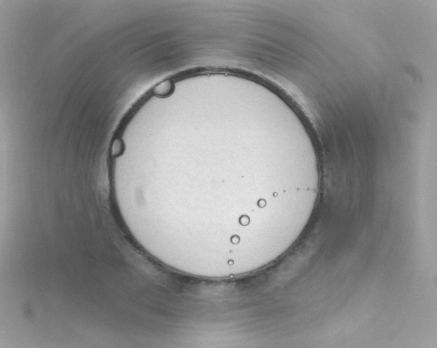 X0000115420887200911241346