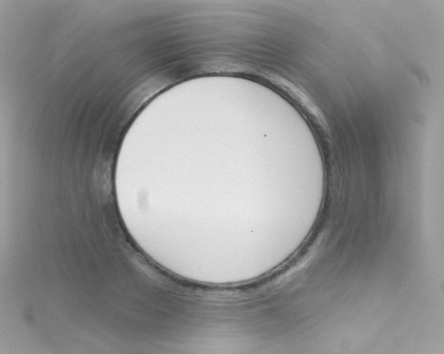 X0000115420889200911241346