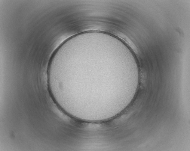 X0000115420890200911241346