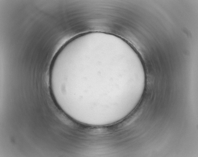 X0000115420891200911241346