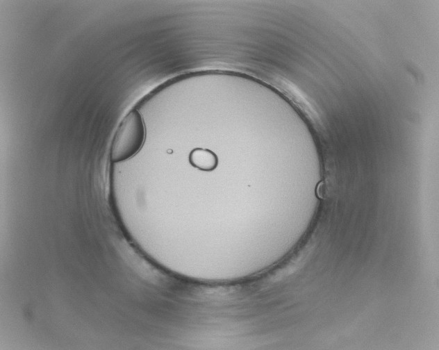 X0000115420892200911241346