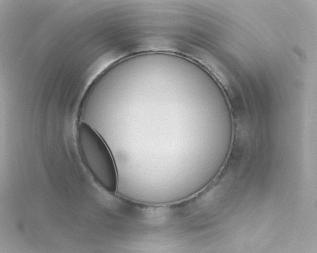 X0000115420893200911241346