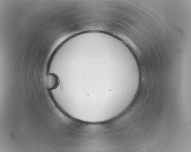 X0000115420894200911241346