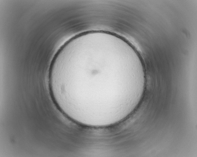 X0000115420895200911241346