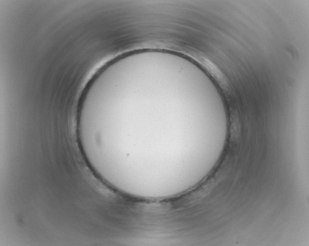 X0000115420896200911241346