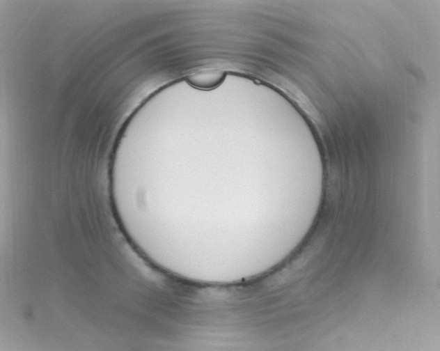 X0000115420898200911241346