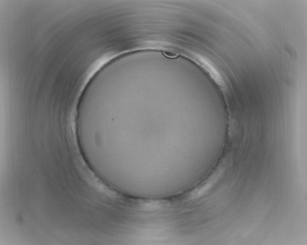 X0000115420899200911241346