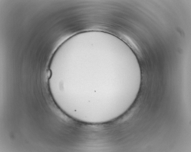 X0000115420900200911241345