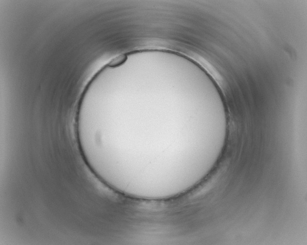 X0000115420901200911241345