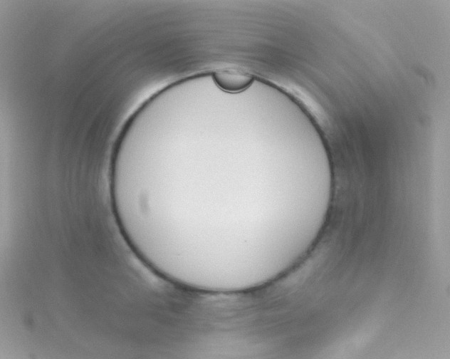 X0000115420902200911241345