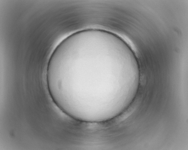 X0000115420903200911241345